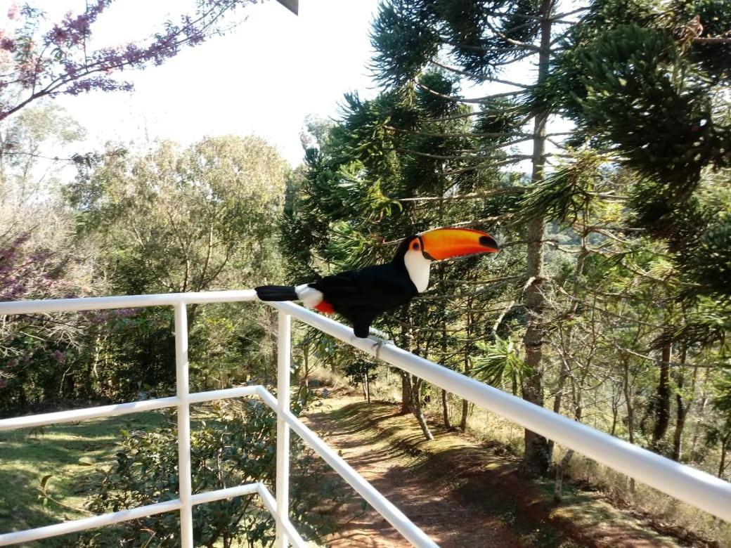 Abrigo Da Reserva Hotel Santo Antônio do Pinhal Екстериор снимка