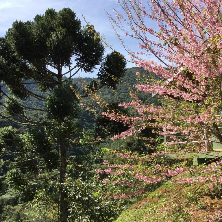 Abrigo Da Reserva Hotel Santo Antônio do Pinhal Екстериор снимка